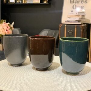 270561